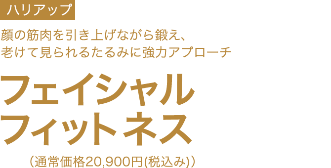 フェイシャルフィットネス　初回限定体験価格7,700円(税込み)