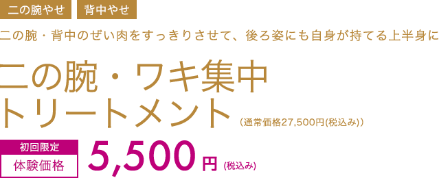 二の腕・ワキ集中トリートメント　初回限定体験価格5,500円(税込み)