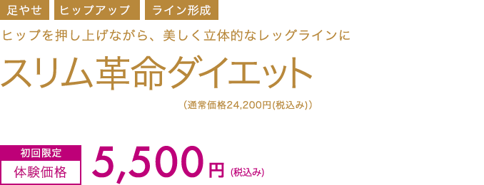 スリム革命ダイエットコース　初回限定体験価格5,500円(税込み)