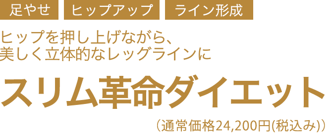 スリム革命ダイエットコース　初回限定体験価格5,500円(税込み)