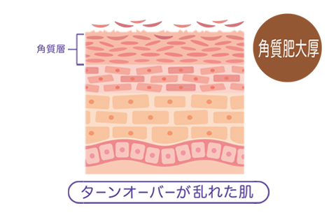 写真：コラーゲンを再生!肌イキイキイメージ