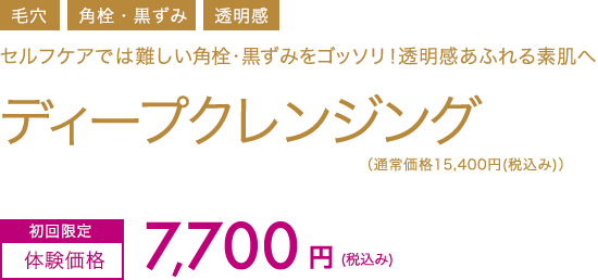 ディープクレンジング　初回限定体験価格7,700円(税込み)