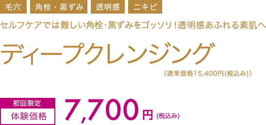 ディープクレンジング　初回限定体験価格7,700円(税込み)