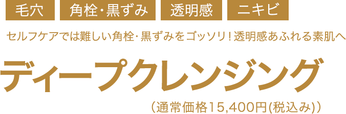 ディープクレンジング　初回限定体験価格7,700円(税込み)