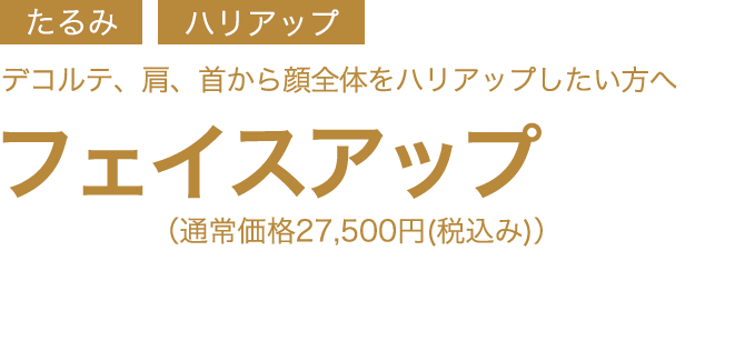 フェイスアップ　初回限定体験価格9,900円(税込み)