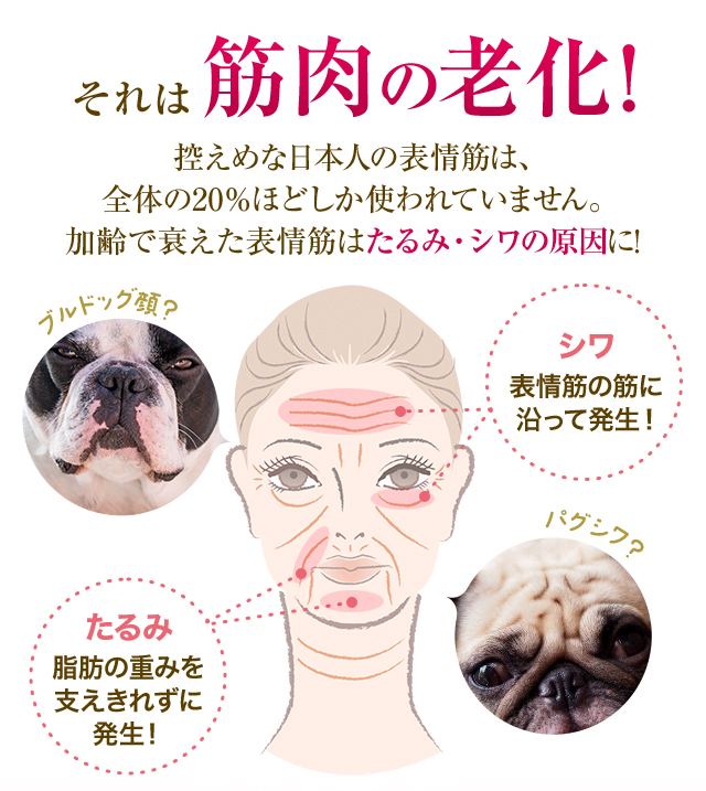 それは筋肉の老化! 控えめな日本人の表情筋は、全体の20%ほどしか使われていません。加齢で衰えた表情筋はたるみ・シワの原因に!