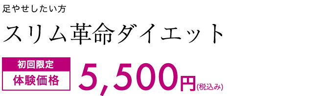 部分的にサイズダウンしたい方へ　スリム革命ダイエット　初回限定体験価格5,500円