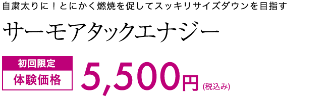 サーモアタックエナジー　初回限定体験価格5,500円